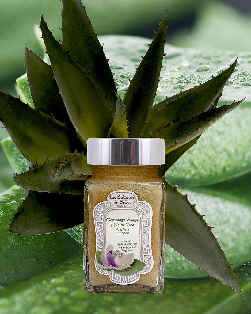 file:///C:/Users/Diana Diaconu/Pictures/Saved Pictures/La Sultane de Saba/PACKSHOT ESHOP 2020/ALOE VERA/GOMMAGE (2).png